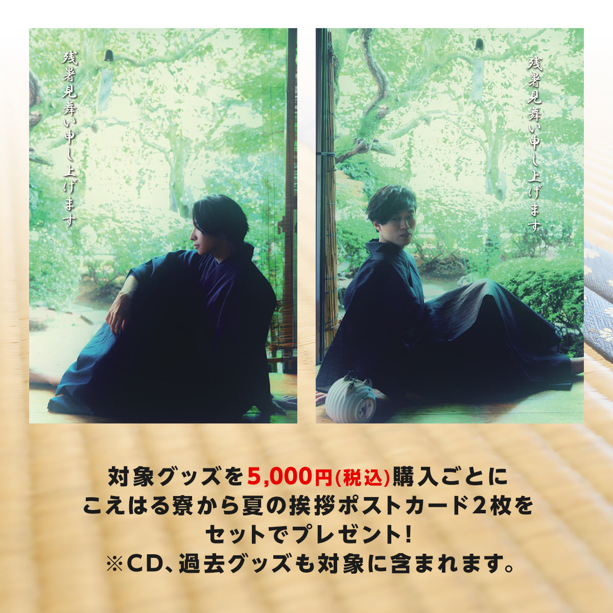 【2枚セット‼︎】【超希少品‼︎】【入手困難品】 Perfume A4クリアファイル A4クリアファイル2枚セット STRANGE PARADOX 未来 ｜【公式